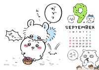 ファミマプリント限定のちいかわオリジナルブロマイド。