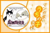 マンガ家“うちの子”自慢 第23回｜高山しのぶ