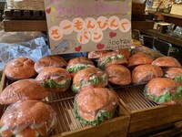 実写映画「劇場版 推しが武道館いってくれたら死ぬ」本編映像より。