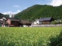 羽田酒造のイメージ。