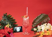 「画眉丸 愛しの妻モクテル」