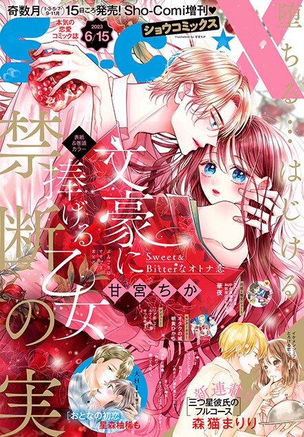 Sho-ComiX6/15号
