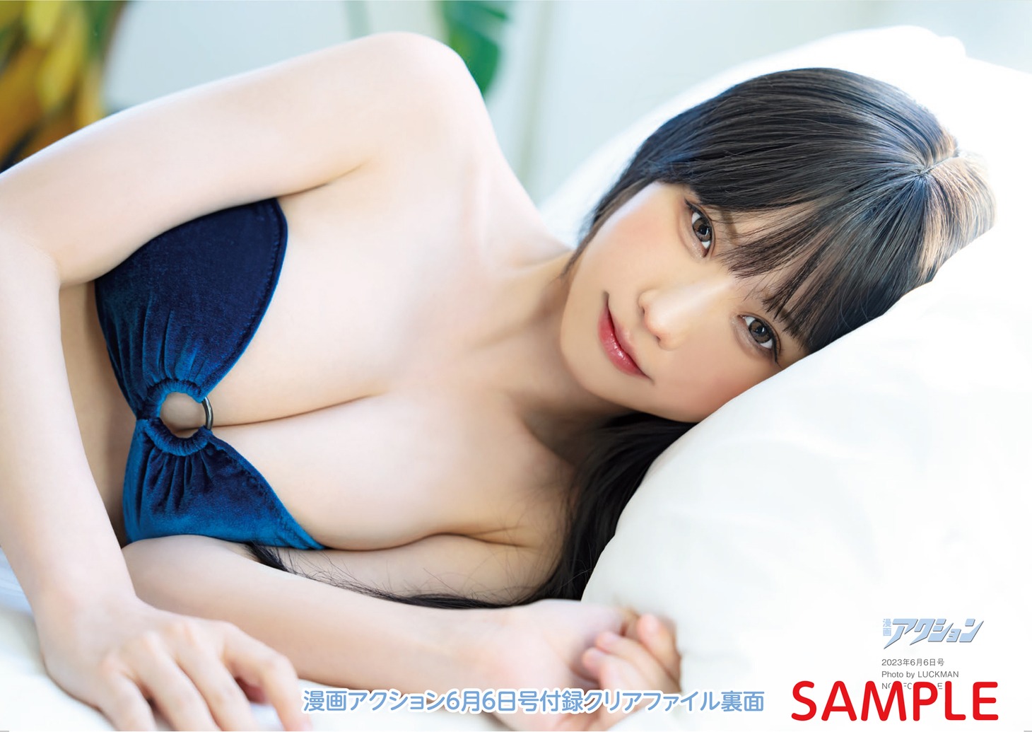 漫画アクション11号付録のクリアファイル（裏）。
