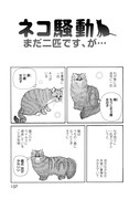 「ネコ騒動 まだ二匹です、が…」より。