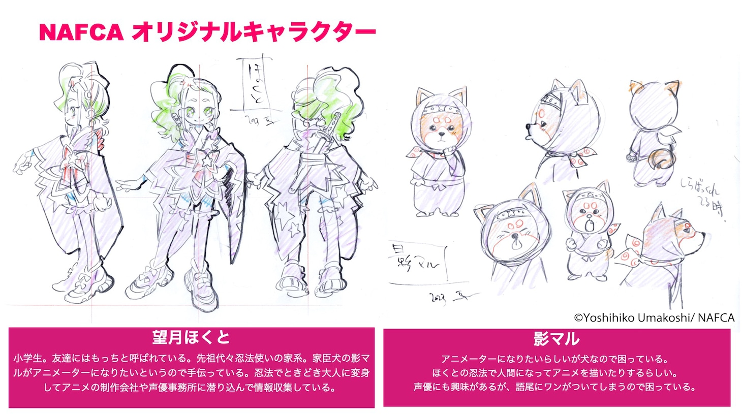 NAFCAの公式キャラクターの設定資料。