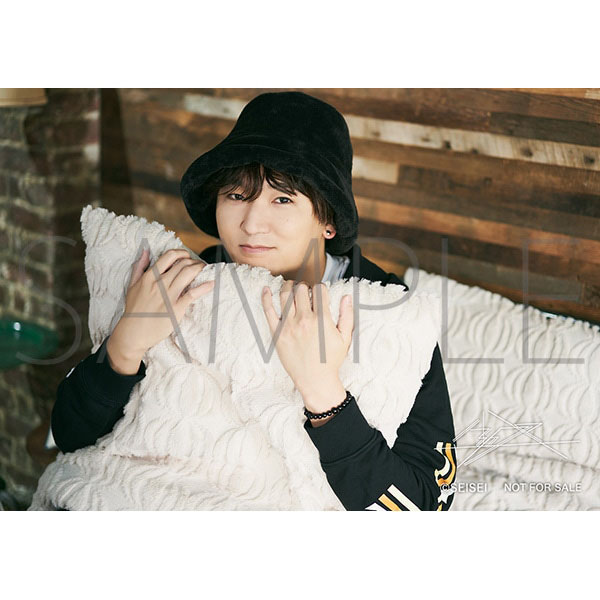 ファンブック「生成 presented by Seiichiro Yamashita」封入特典のブロマイド。 (c)SEISEI
