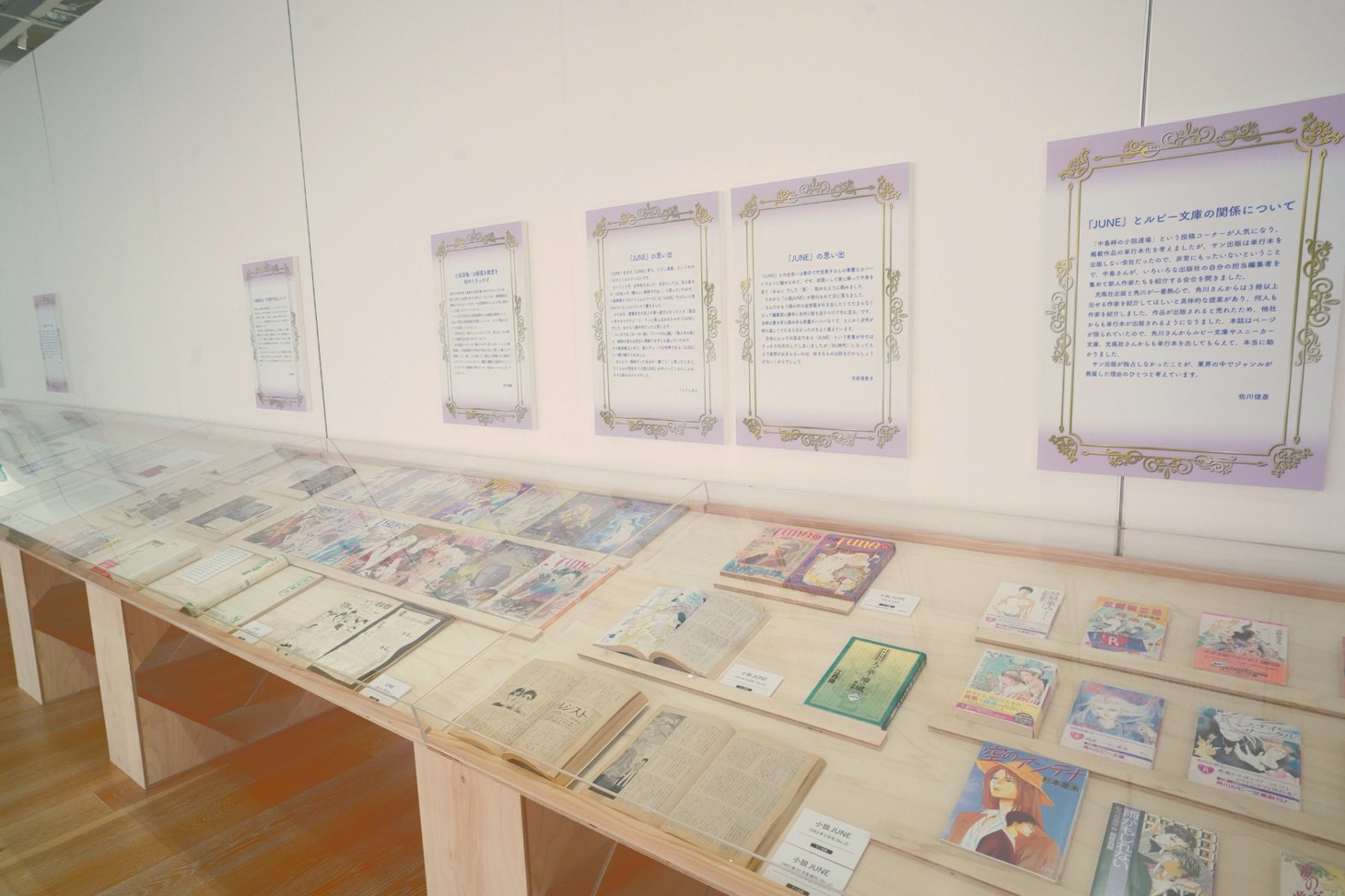 「JUNEの時代」コーナーの展示物。