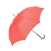 「サツキの雨傘」