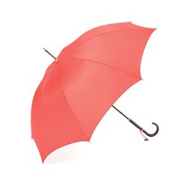 「サツキの雨傘」