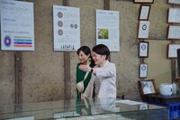 ドラマ「ワカコ酒 Season7」より。(c)新久千映／コアミックス (c)２０２３「ワカコ酒７」製作委員会