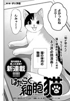 「はたらく細胞 猫」より。