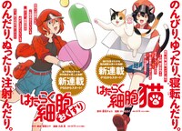 「はたらく細胞 おくすり」と「はたらく細胞 猫」。