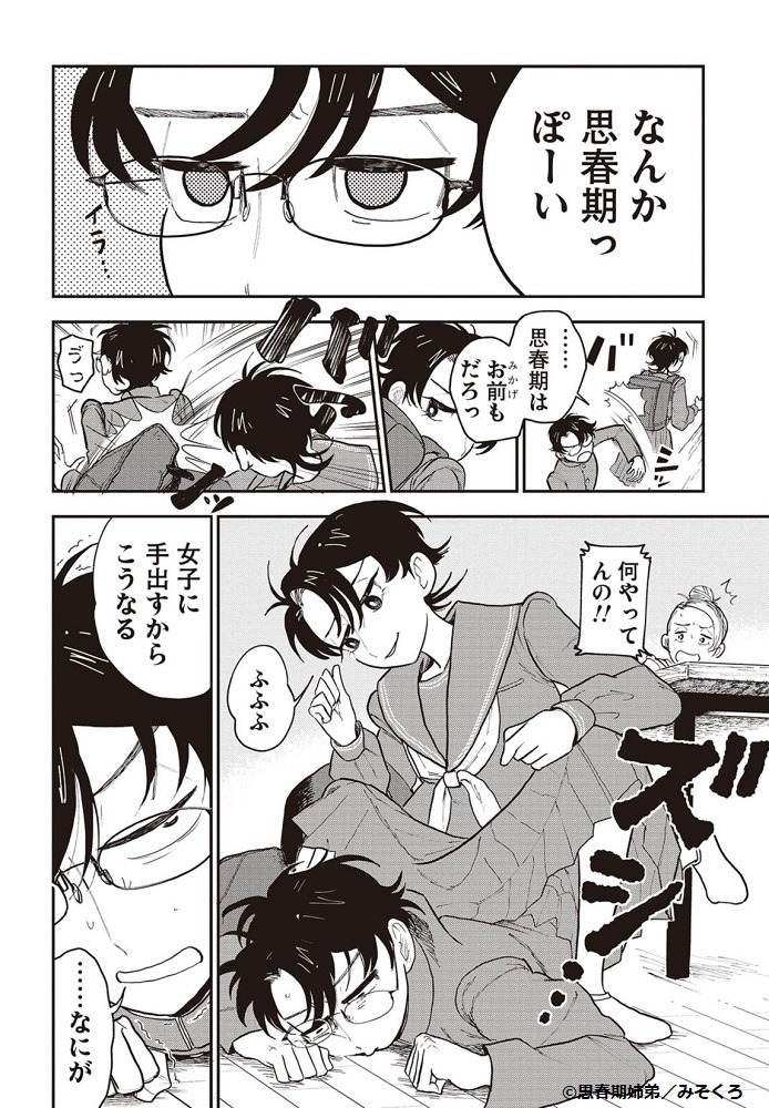 「思春期姉弟」より。