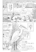 「まいにち鳥びより」より。