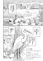 「まいにち鳥びより」第1話より。