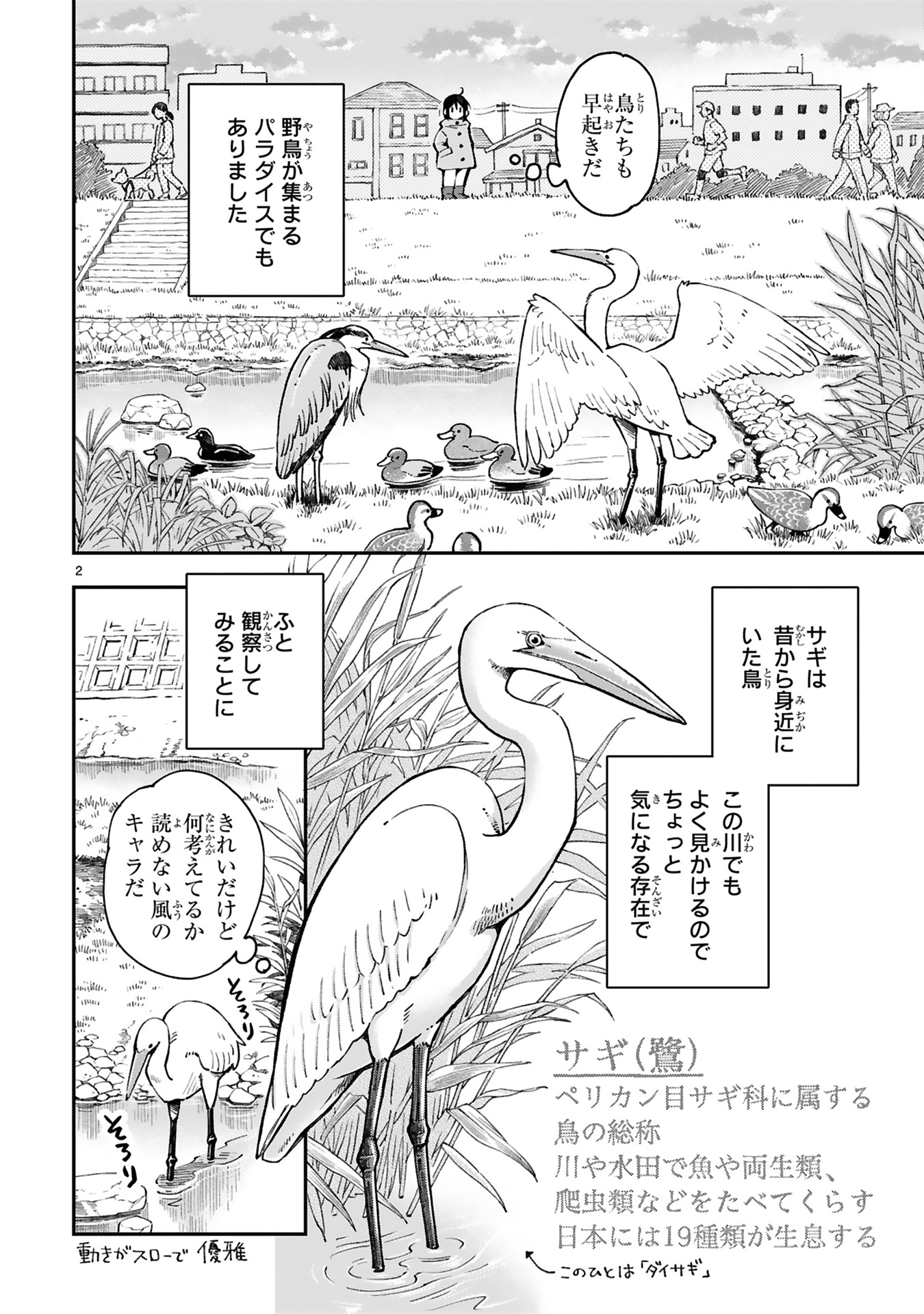 「まいにち鳥びより」より。