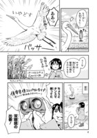 「まいにち鳥びより」より。