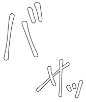 りぼん作品「絶世の悪女は魔王子さまに寵愛される」の描き文字。