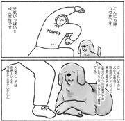 「老犬とわたし」より。