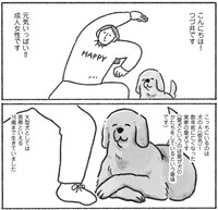 「老犬とわたし」より。