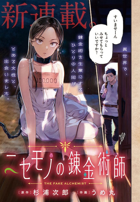 「ニセモノの錬金術師」より。