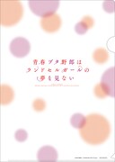 ムビチケカード購入特典のクリアファイル。