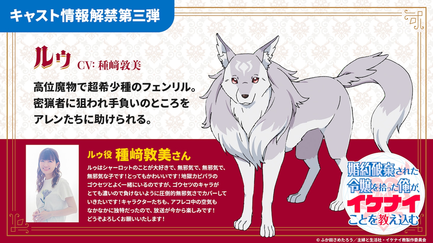 ルゥのキャラクター紹介と種崎敦美のコメント。
