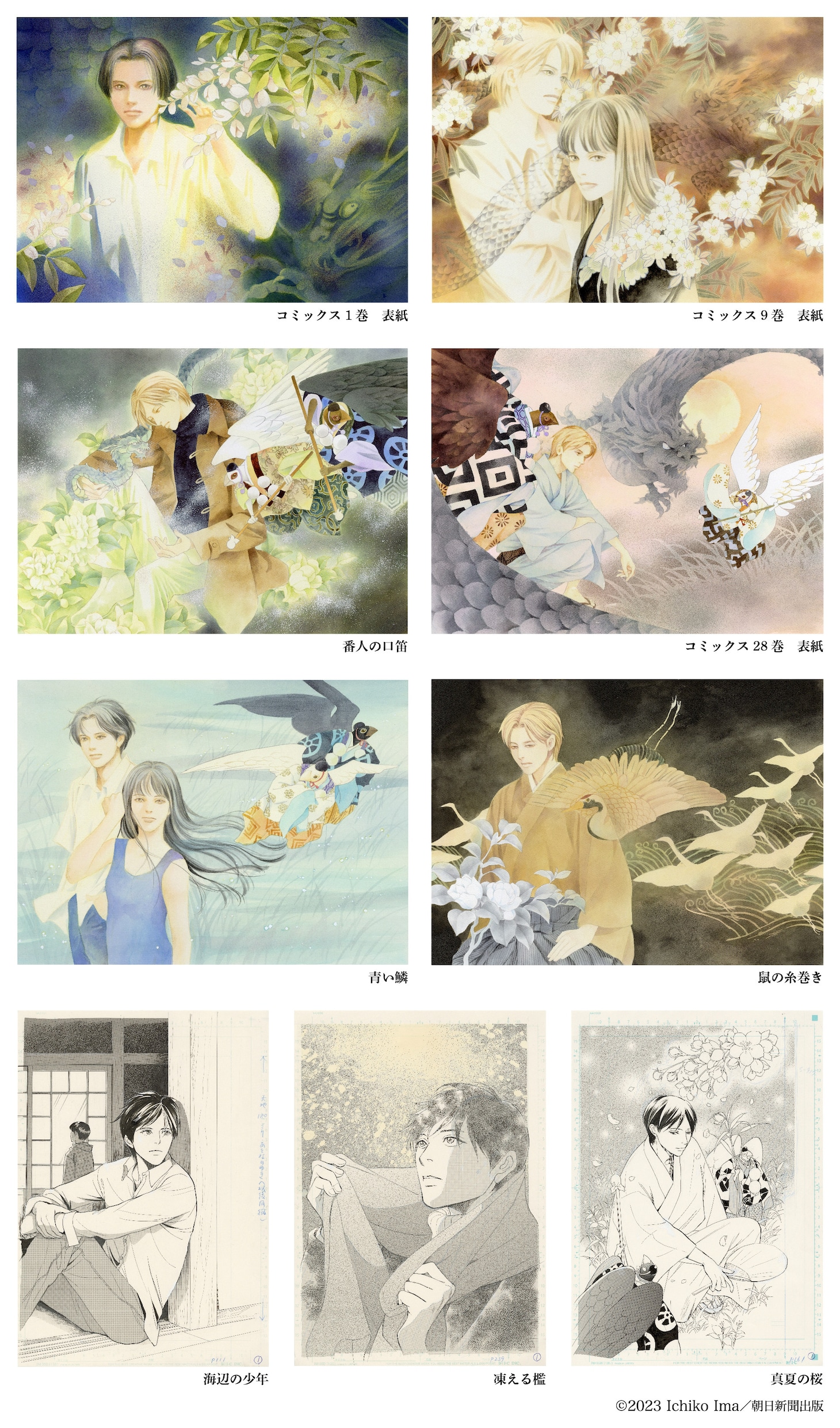 展示イラスト