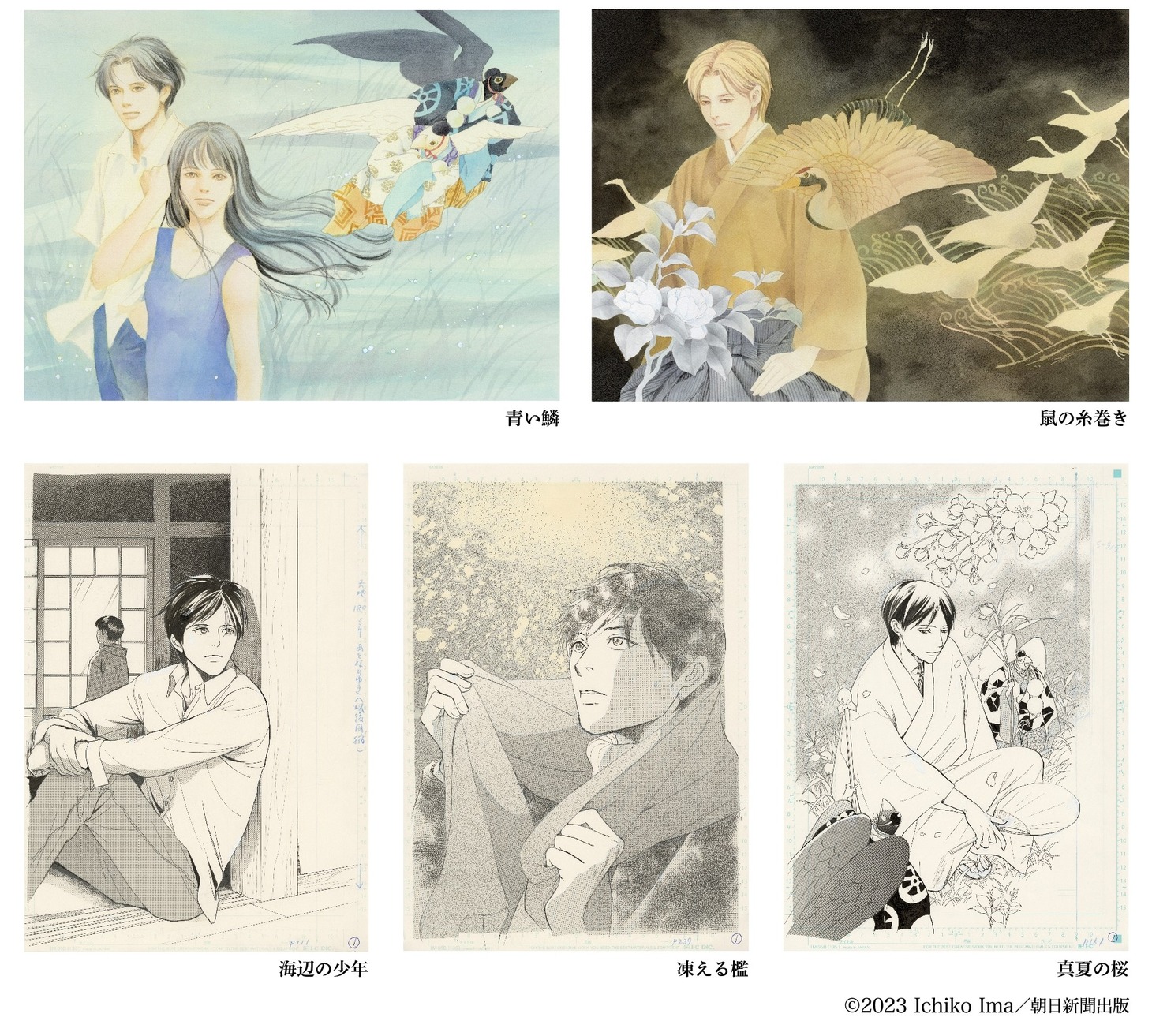 展示イラスト
