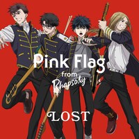 Pink Flag「LOST」ジャケット