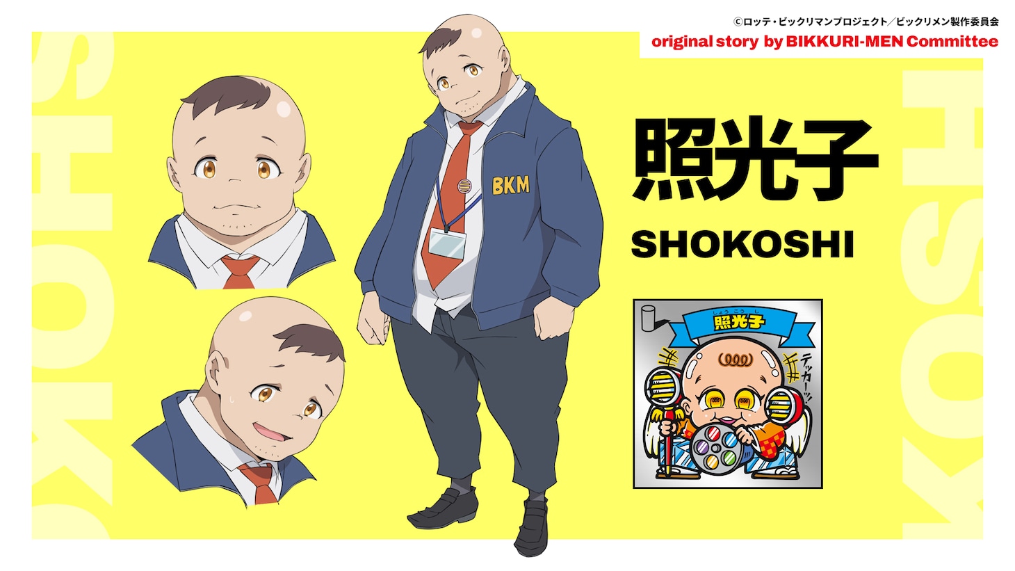 照光子のキャラクター設定画像。