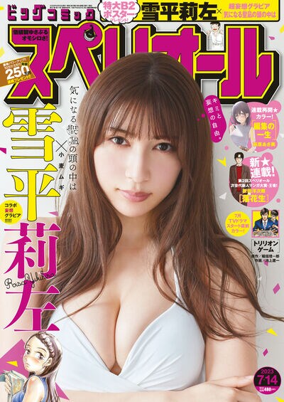 ビッグコミックスペリオール14号