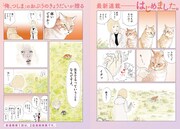 「モンちゃんと私」より。