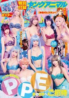 ヤングアニマル13号