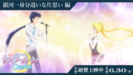 劇場版「セーラームーン」うさぎ＆星野光の特別映像公開　第4弾入プレはポストカード