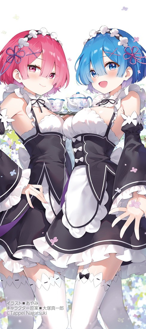 付録の「『Re:ゼロから始める異世界生活』あやみ描き下ろし ラム&レムミニタペストリー」。