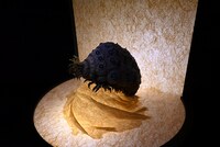 「風の谷のナウシカ 王蟲の世界」 (c)Studio Ghibli