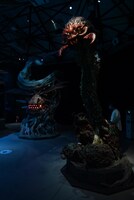 「風の谷のナウシカ 王蟲の世界」 (c)Studio Ghibli