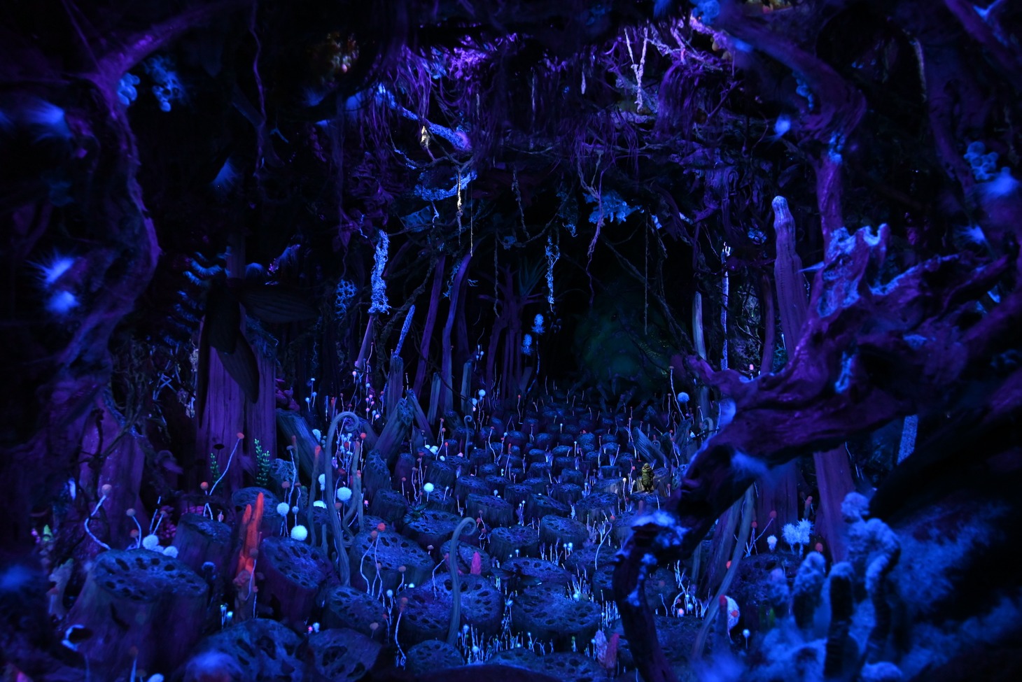 「風の谷のナウシカ 王蟲の世界」 (c)Studio Ghibli