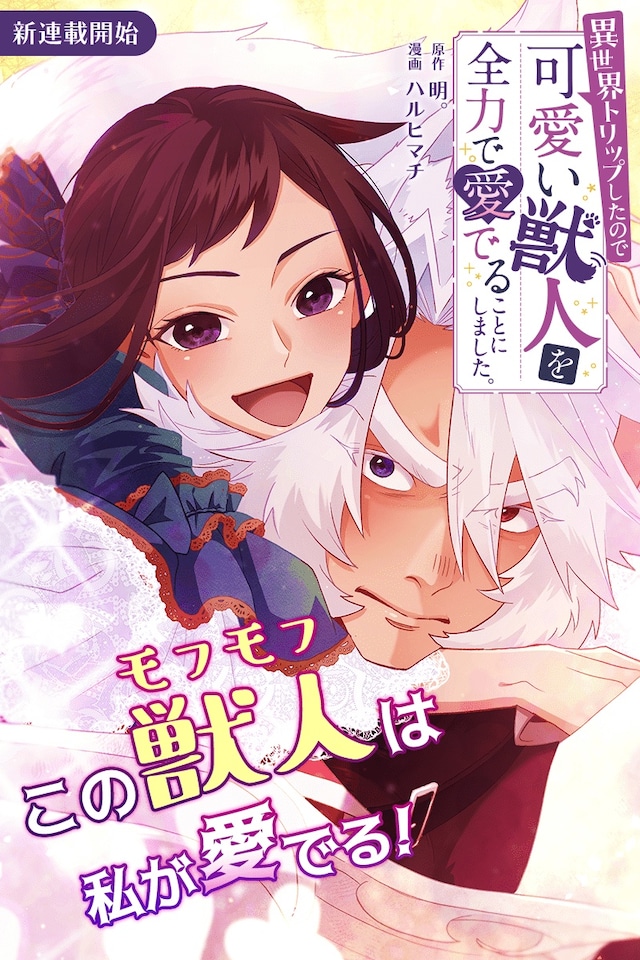 「異世界トリップしたので可愛い獣人を全力で愛でることにしました。」ビジュアル