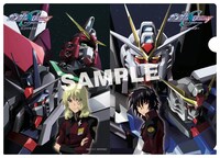 「機動戦士ガンダムSEED DESTINYスペシャルエディション HDリマスター」ムビチケ特典のクリアファイル。