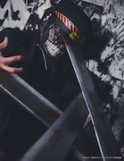 サムライソードのソロビジュアル。