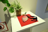 薬学の館への入館証。