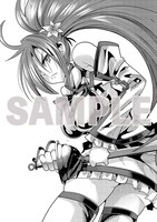 書泉・芳林堂書店の特典。