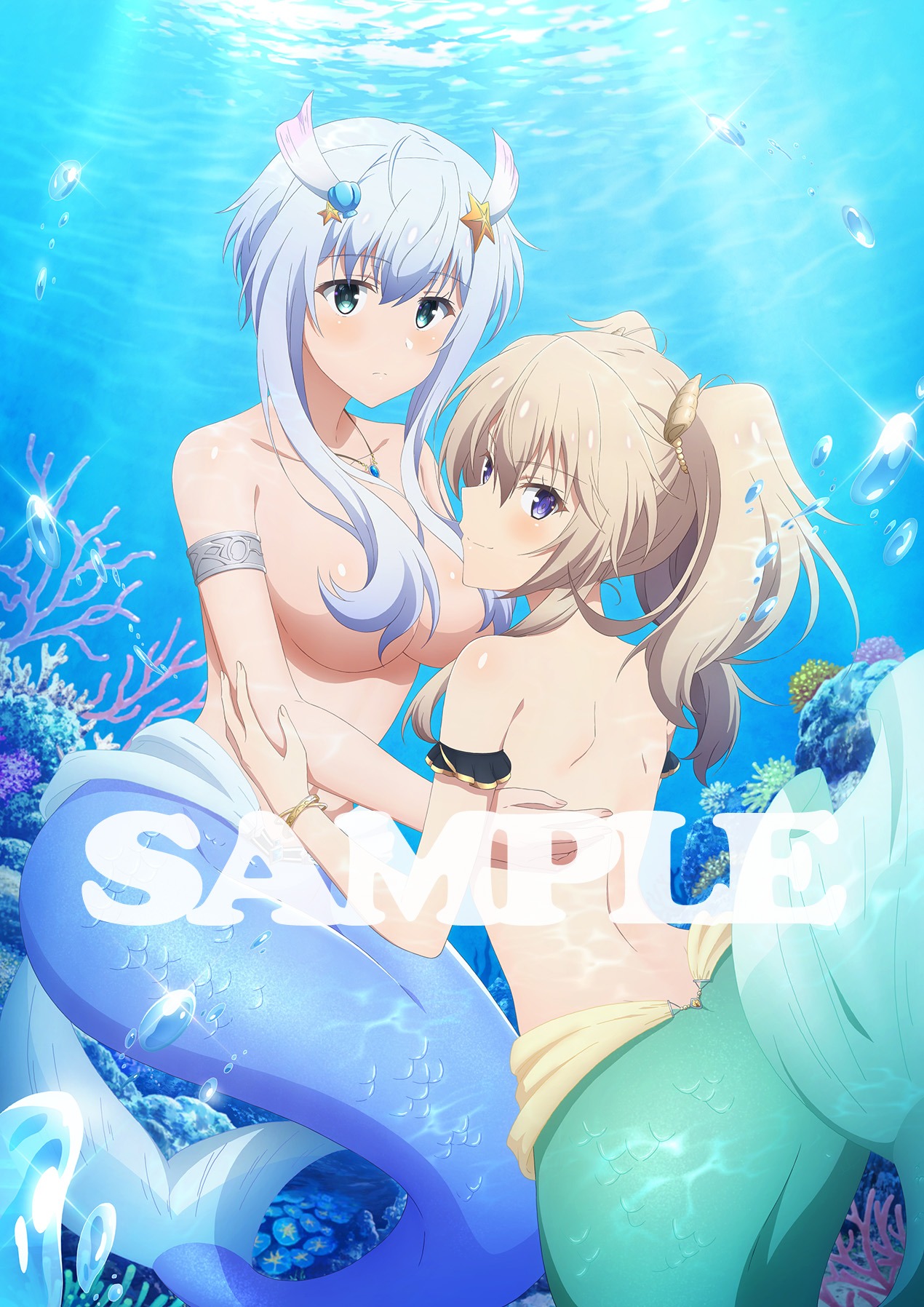アニメイトで第1巻～第4巻を購入した人には特典としてB2タペストリーと缶バッジが進呈される。
