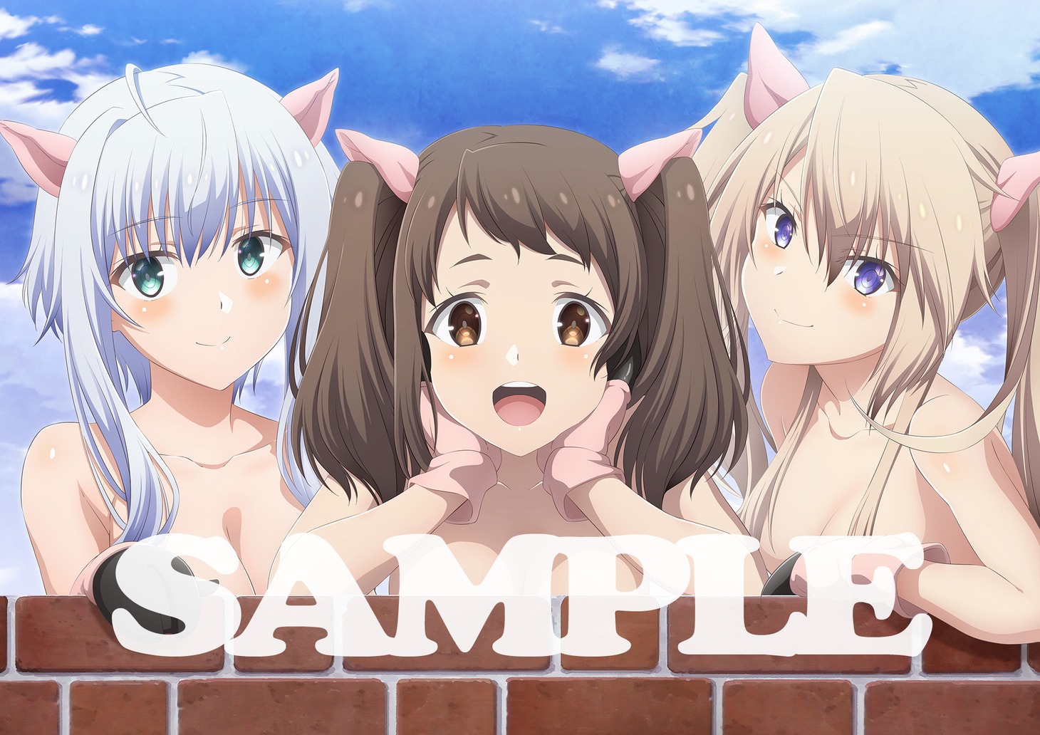 ソフマップ・アニメガおよび楽天ブックスの特典の画像。