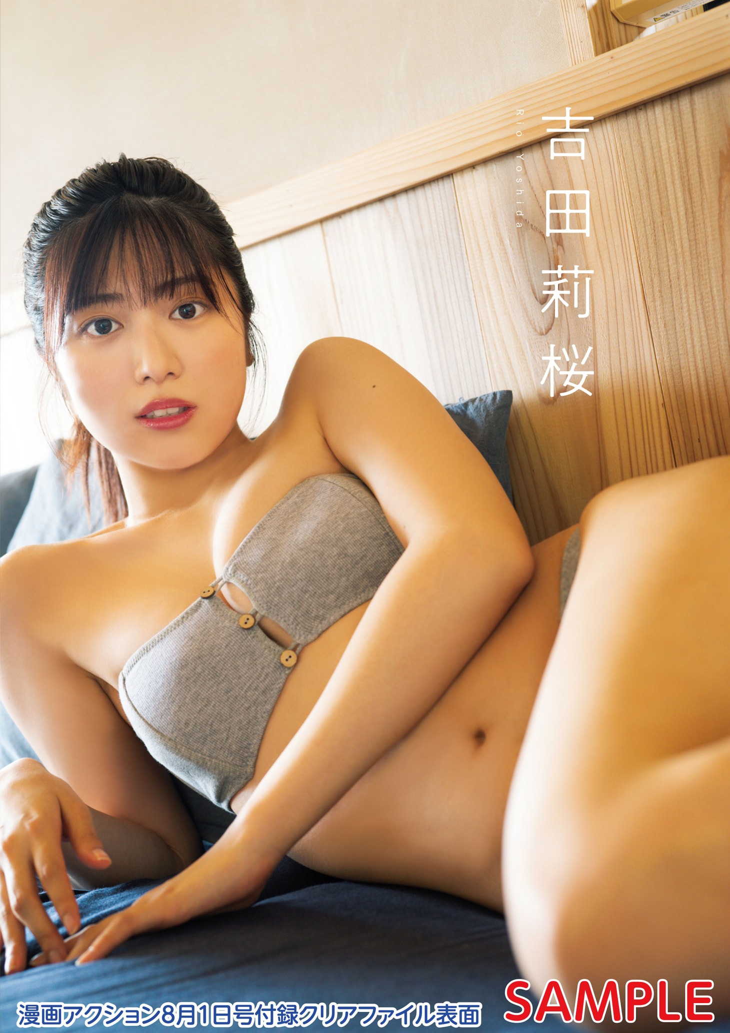 漫画アクション15号付録のクリアファイル（表）。