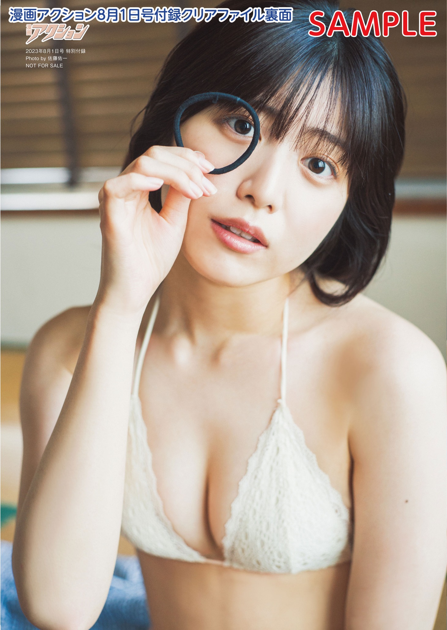 漫画アクション15号付録のクリアファイル（裏）。