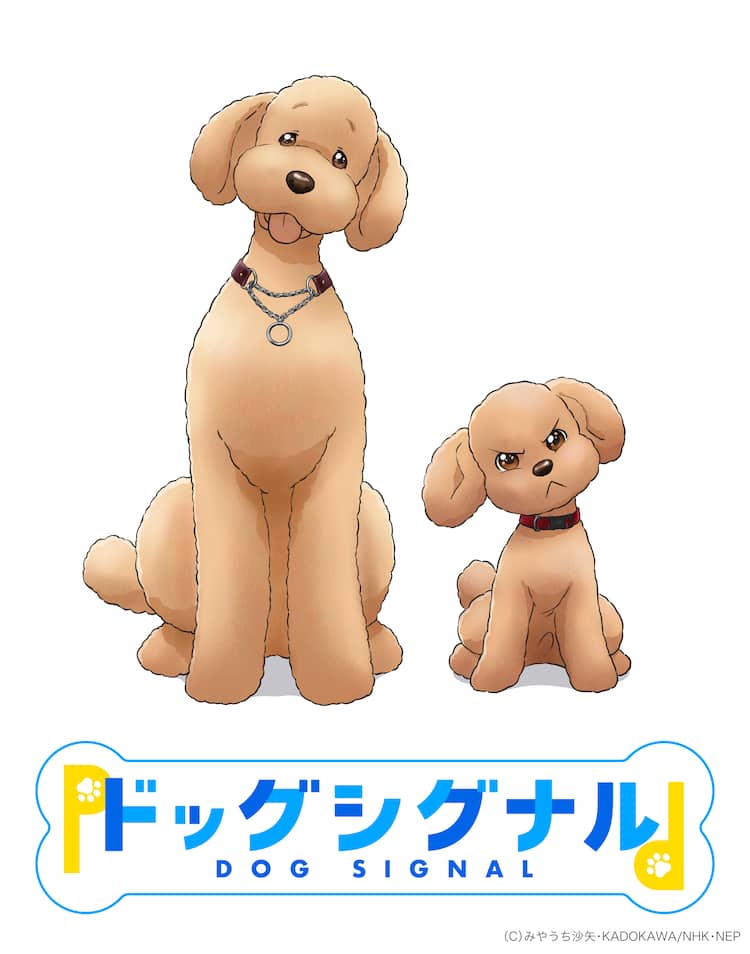 アニメ「ドッグシグナル」未祐は小野賢章、腕利きドッグトレーナー 