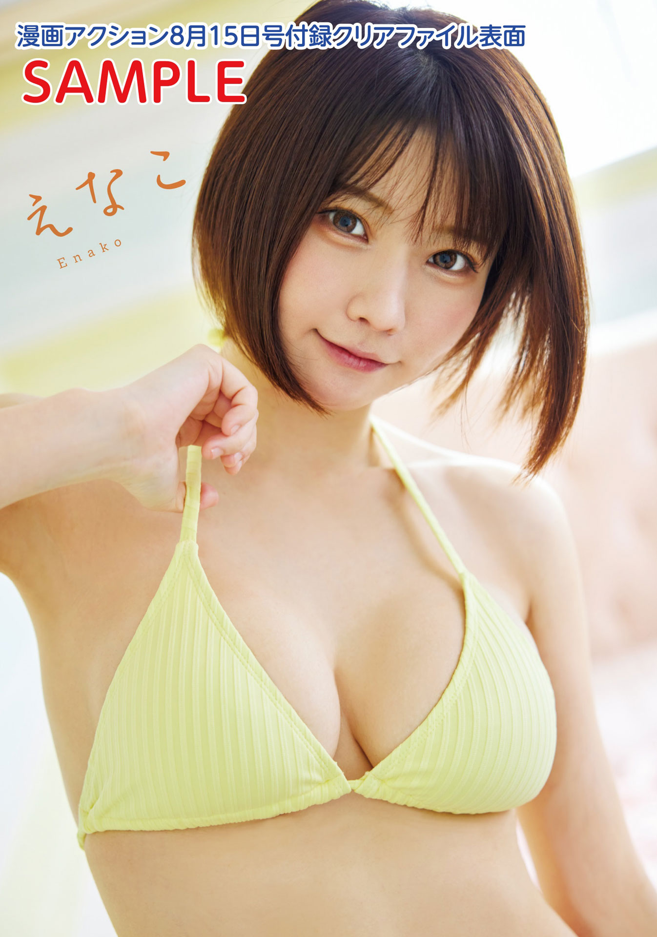 漫画アクション16号付録のクリアファイル（表）。